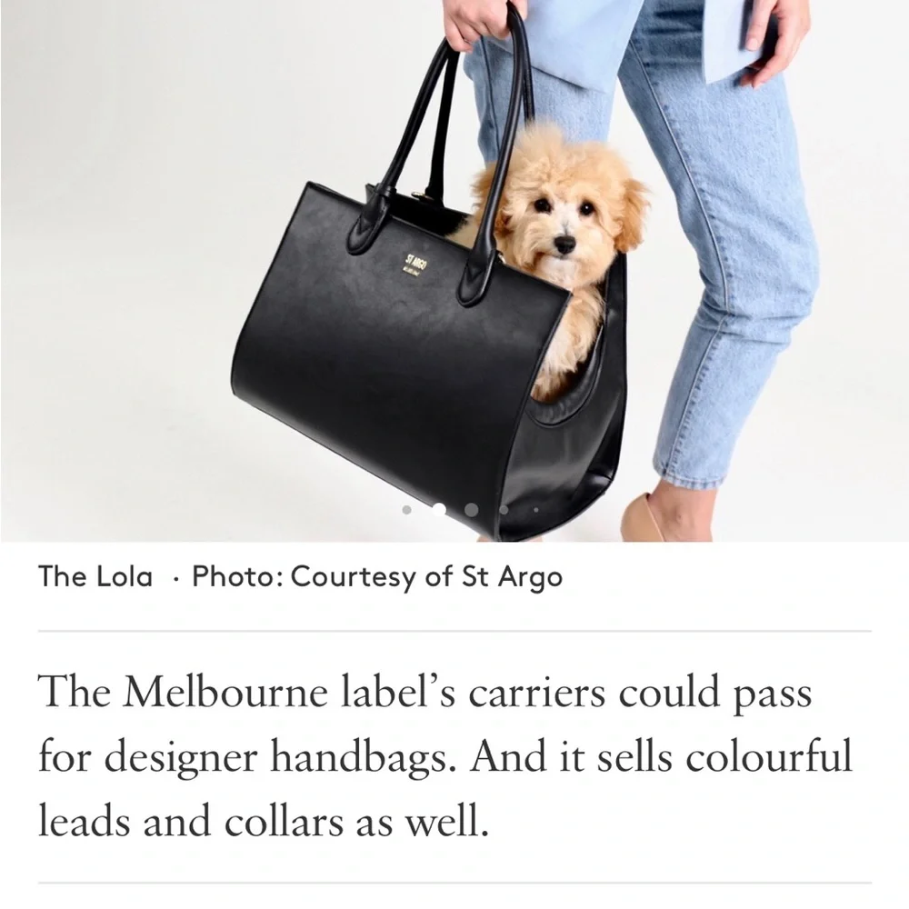 Pink Dog Carrier